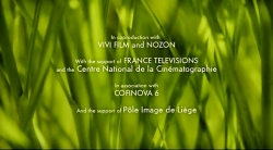 خیلی خیلی کوچک (2) (گاو خشمگین در علفزار)